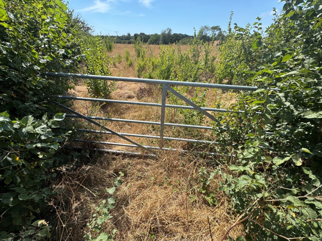 Lot: 85 - FREEHOLD LAND EXTENDING TO ALMOST 8.5 ACRES - Gate into the land
